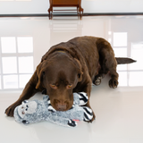 Kong Jungle Jamz Gorilla