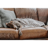 Tall Tails Fleece Throw Houndstooth Brown/Cream