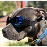 Doggles ILS Shiny Blue Frame/Blue Lens