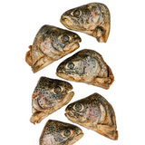 Momentum Rainbow Trout Head