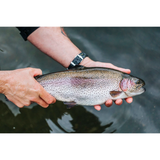 Momentum Rainbow Trout Head