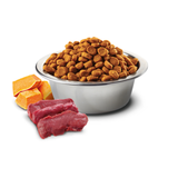 Farmina N&D Cat GF Pumpkin Venison USA