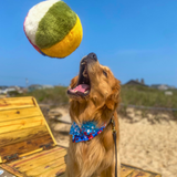 Fluff & Tuff Beach Ball