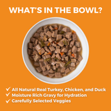 KOHA Dog GF Stew Big Easy Feast 12.7oz