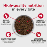 Nulo Challenger Beef Lamb Pork Large Breed Puppy 24lb