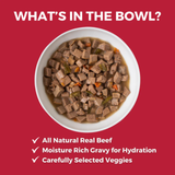 KOHA Dog GF Stew Lone Star 12.7oz