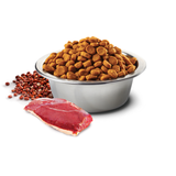 Farmina N&D K9 GF Quinoa Skin Coat Duck Mini