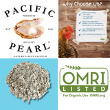 Pacific Pearl Oyster Shell 5lb