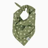 Fall Bohemian Sage Pet Bandana