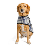 Chilly Dog Grey Blue Plaid Coat