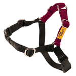 A dog harness featuring black nylon webbing and burgundy nylon straps, with silver metal hardware
