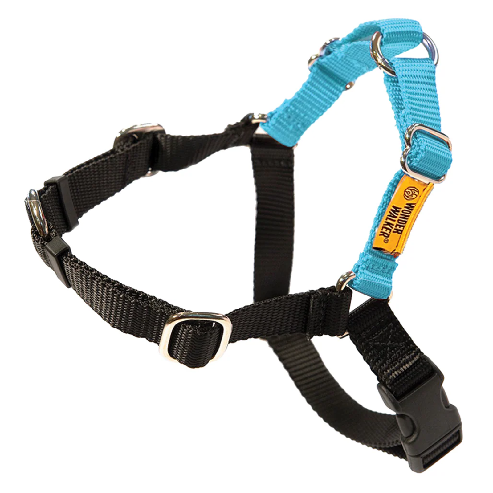 Black dog harness with a blue strap featuring a brand label on a white background