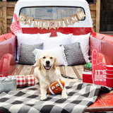 Fringe I Wanna Be A Baller Plush Dog Toy