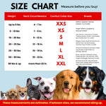 Dog size chart with breeds and measurements on a blue background