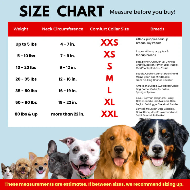 Dog size chart with breeds and measurements on a blue background