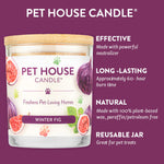 Pet House Candle jar with winter fig scent on a purple background