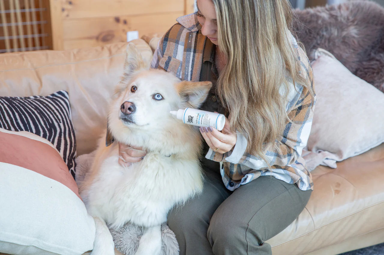 Woman applying a product to a dog's paw on a couch