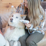 Woman applying a product to a dog's paw on a couch