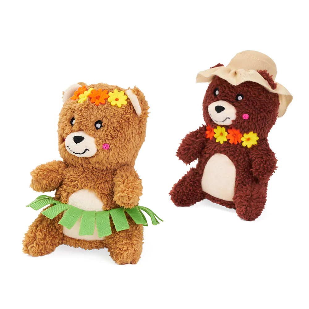 Two teddy bears, one with a hula skirt and flower crown, the other with a hat and lei, on a white background.