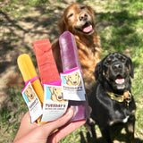 Two dogs sitting on grass with a hand holding purple, pink, and yellow dog popsicles from Tuesday's Natural Dog Company.