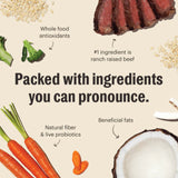 Honest Kitchen Clusters Whole Grain Beef & Oat