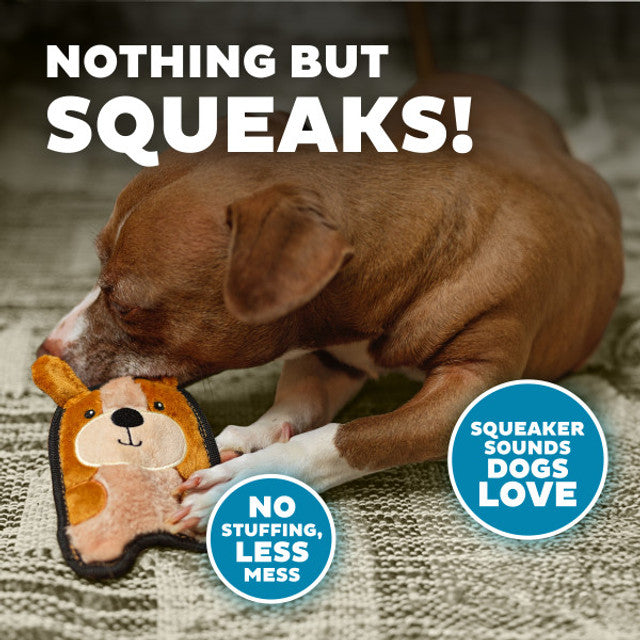 Dog playing with a squeaky toy on a textured surface with promotional text.