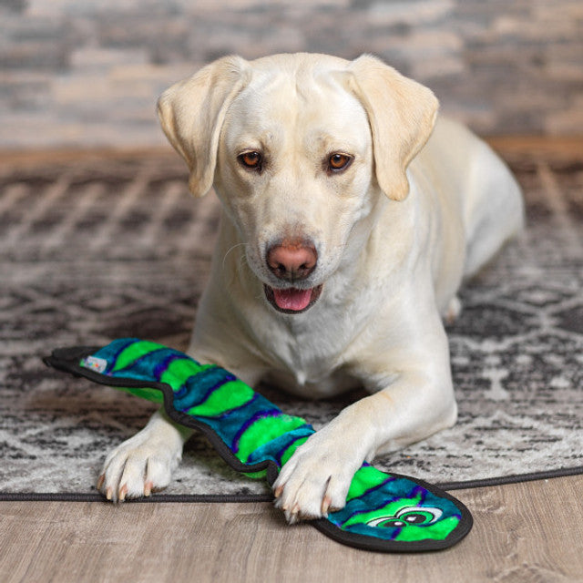 Dog playing with a colorful toy on a wooden floor