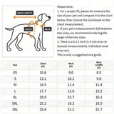 Dog size chart with measurements for chest, neck, and back length.