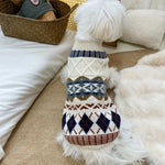 Dog wearing a patterned sweater on a cozy sofa