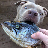 Naked Beasts Salmon Head Halves