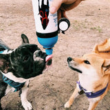 Dog Is Good Never Walk Alone Water Bottle