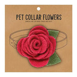 Pet Collar Flower Raspberry Small