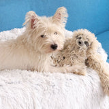 Tall Tails Anywhere Cuddle Bed Grey 34x34