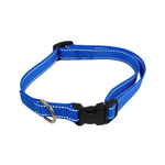 Blue dog collar with a black buckle on a white background