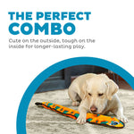 Dog playing with a colorful toy, text 'The Perfect Combo' on a white background