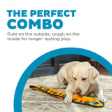 Dog playing with a colorful toy, text 'The Perfect Combo' on a white background