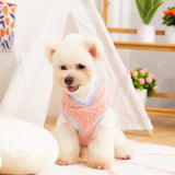 Small white dog wearing a pink sweater indoors with a blurred background
