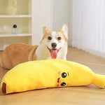 Dog with a banana-shaped pillow on a wooden floor