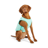 Elasto-Fit Ice Vest Aqua
