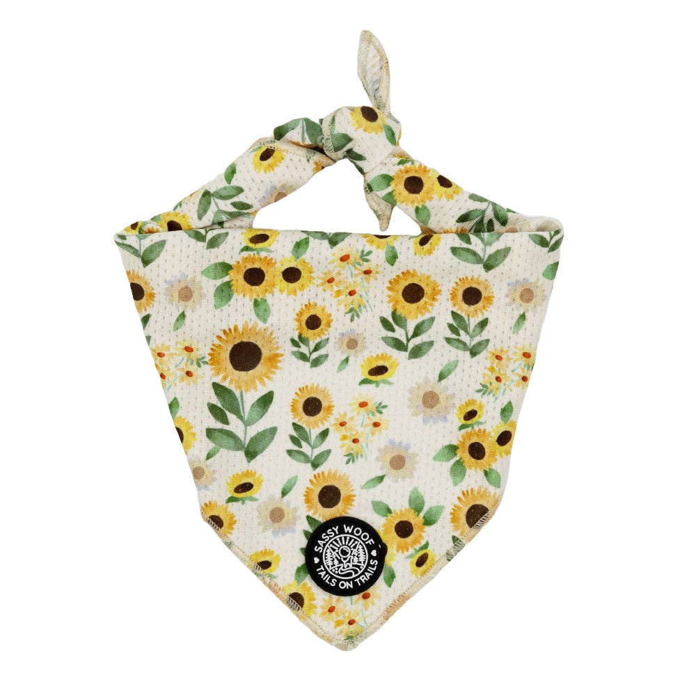 A triangular bandana-style pet bib with a knotted top edge, featuring a sunflower and daisy floral print on a cream background. A black circular patch on the lower tip reads 'EASY MEOW PET GROOMING'.