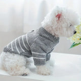 White dog wearing a gray striped sweater on a white background