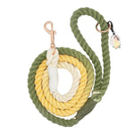 Green, yellow, and white rope dog leash on a white background
