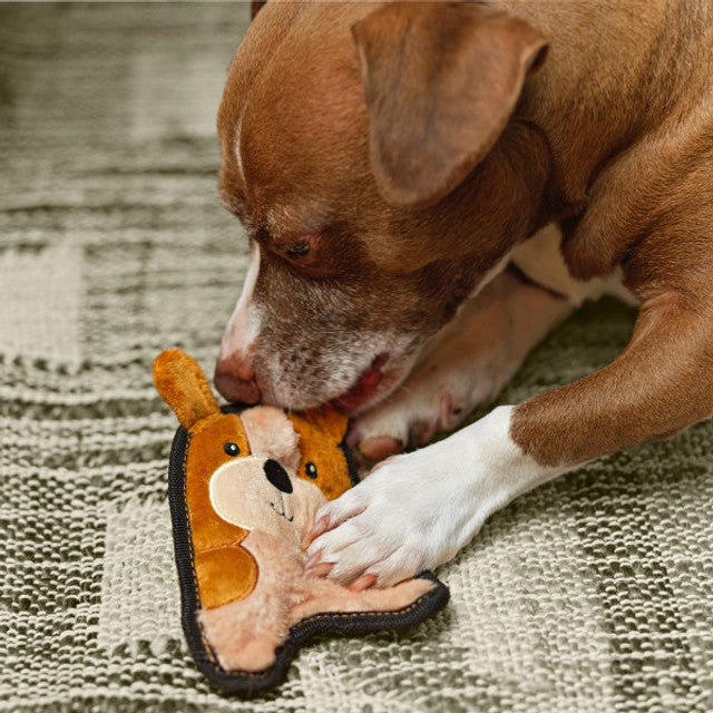Dog playing with a plush toy on a textured surface