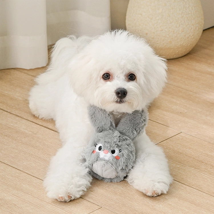 White dog holding a gray plush toy with a face on a wooden floor.