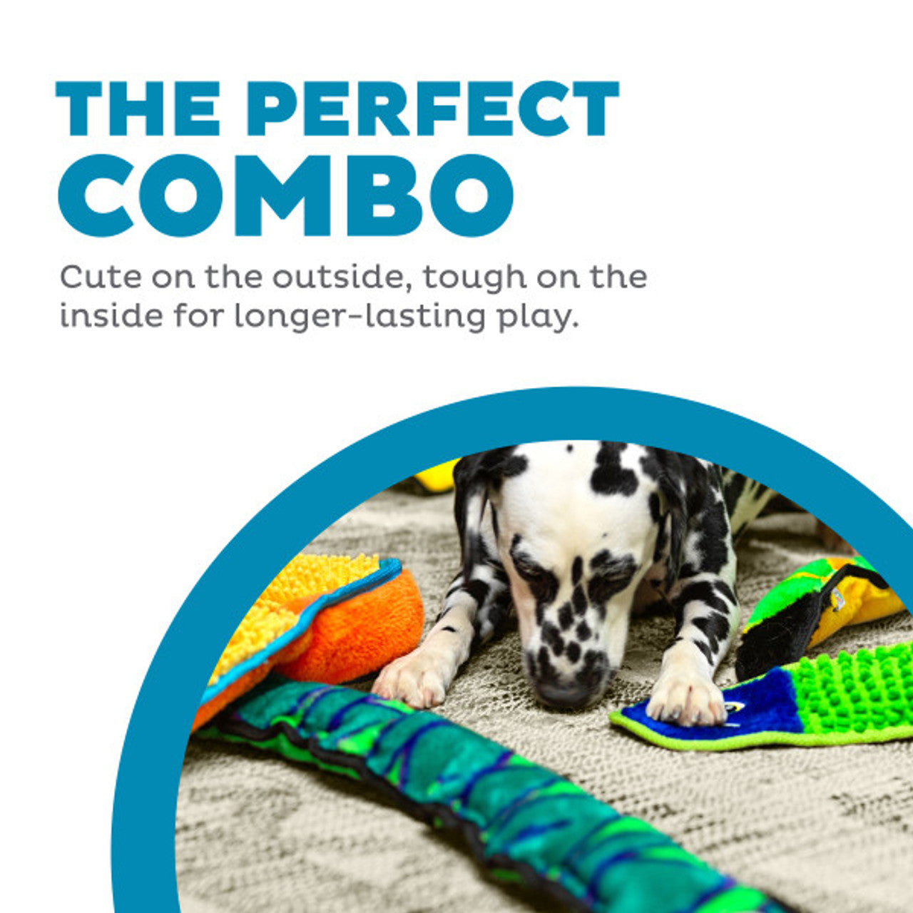 Dog playing with colorful toys on a textured surface, with text about durability.