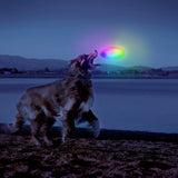 Dog playing with a colorful toy at night by a lake