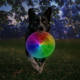 Dog running with a colorful frisbee in a park at night