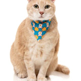 FuzzYard Cheesy Hearts Cat Fashion Pack