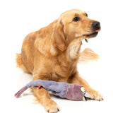 FuzzYard Peace Out Pigeon Dog Toy