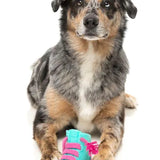 FuzzYard Fresh Kicks N Licks